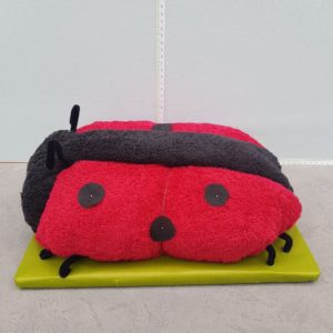 Coccinelle